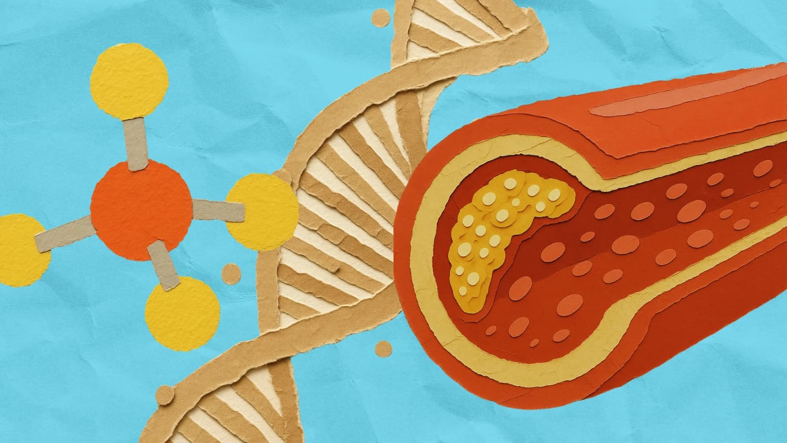 The genetic side of heart attacks: DNA, a cholesterol molecule, and a plaque-filled artery