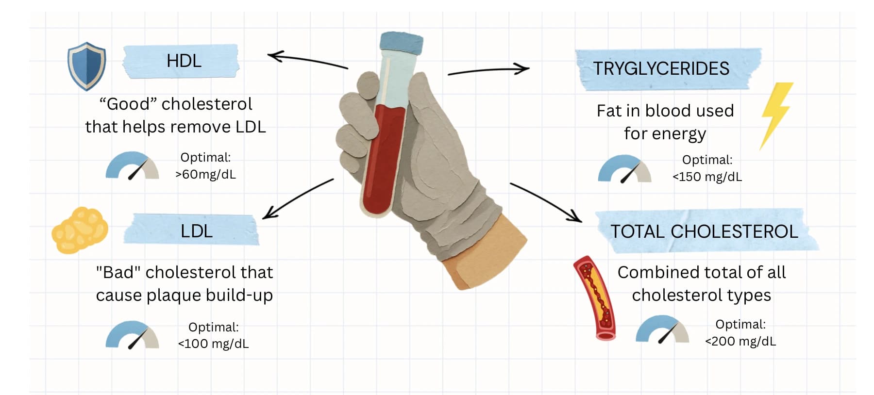 A standard lipid panel reports four numbers: HDL, LDL, triglycerides, and total cholesterol